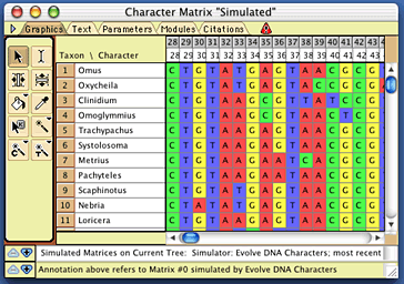 simMatrix.gif