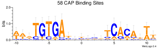 CAP Binding Site Logo